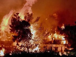 Wildfires tear through the outskirts of Athens